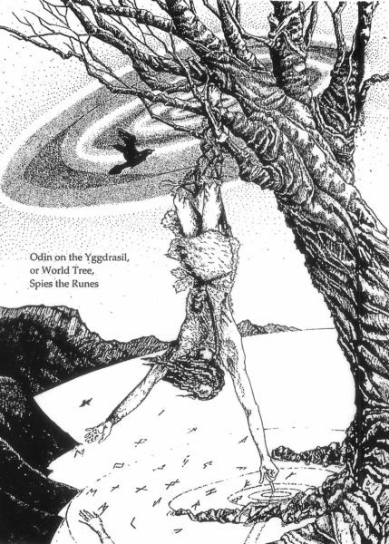 odin world tree, Order of Bards, Ovates & Druids.