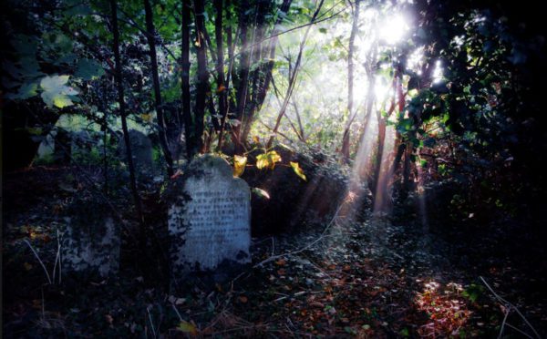 old cemetery light tcm63 408460, Order of Bards, Ovates & Druids.