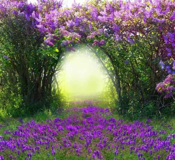 purple arch, Order of Bards, Ovates & Druids.