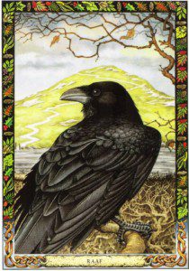 raven druid animal oracle, Order of Bards, Ovates & Druids.