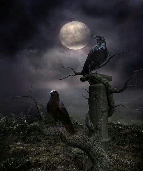 ravens 1, Order of Bards, Ovates & Druids.