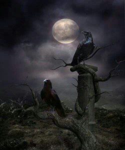 ravens, Order of Bards, Ovates & Druids.