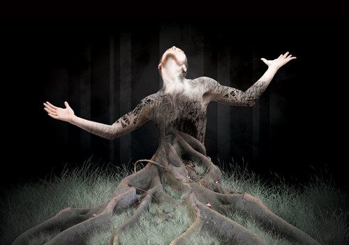 roots woman, Order of Bards, Ovates & Druids.