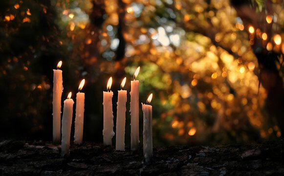 samhain 2022 Ps blog, Order of Bards, Ovates & Druids.