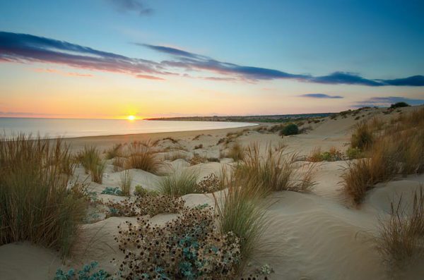 sand dunes, Order of Bards, Ovates & Druids.