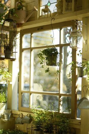 shed window, Order of Bards, Ovates & Druids.