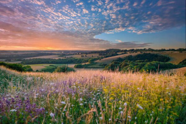 south downs, Order of Bards, Ovates & Druids.