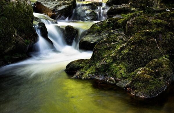 stream rocks, Order of Bards, Ovates & Druids.