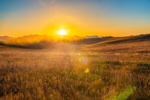 sunrise, Order of Bards, Ovates & Druids.