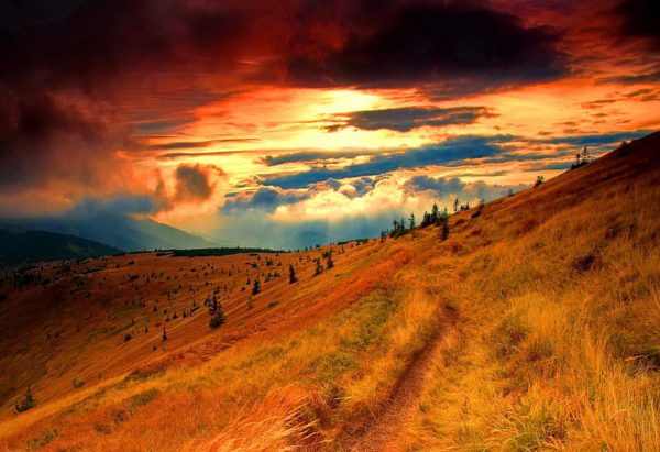 sunset grassy hill, Order of Bards, Ovates & Druids.