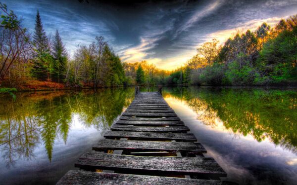 the path, Order of Bards, Ovates & Druids.
