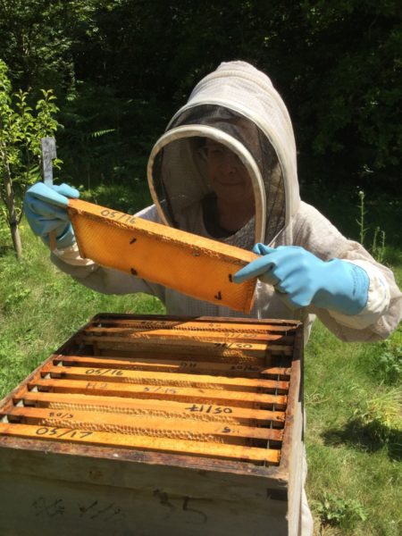 thumbnail bees.5, Order of Bards, Ovates & Druids.