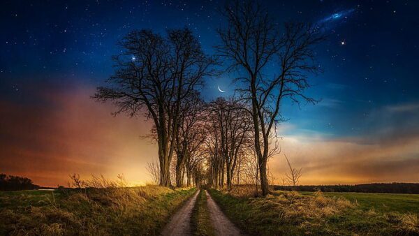 tree line dusk dawn night wallpaper preview, Order of Bards, Ovates & Druids.
