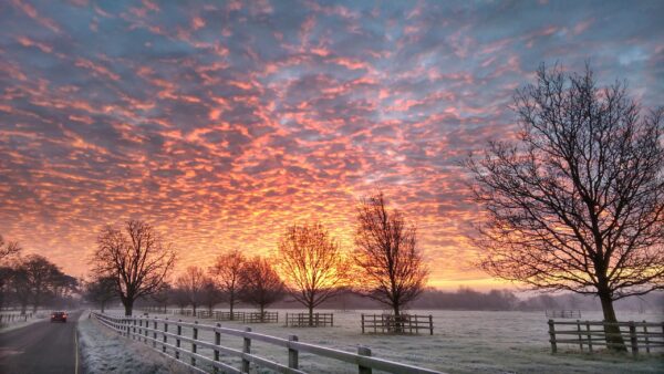 uk winter morning sunrise wallpaper, Order of Bards, Ovates & Druids.