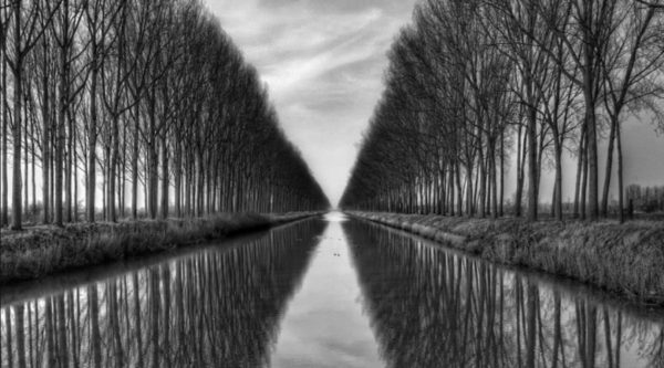 vanished to the infinite, Order of Bards, Ovates & Druids.