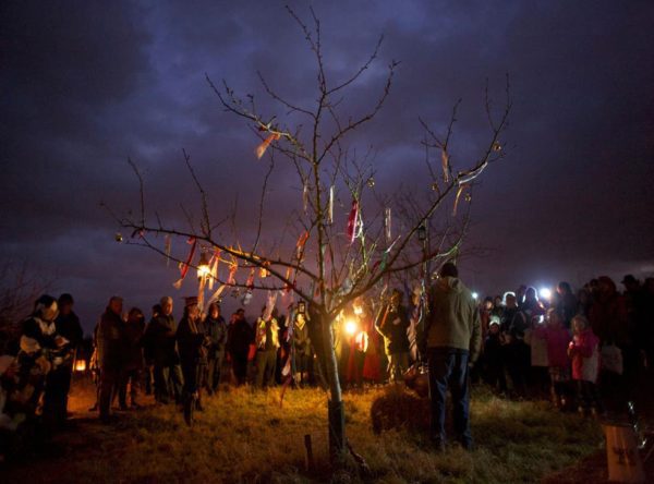wassail, Order of Bards, Ovates & Druids.