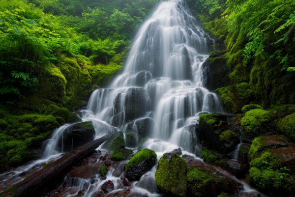 waterfall moss, Order of Bards, Ovates & Druids.