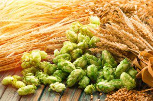 wheat and hops, Order of Bards, Ovates & Druids.