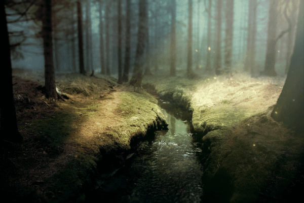 forest brook 2, Order of Bards, Ovates & Druids.