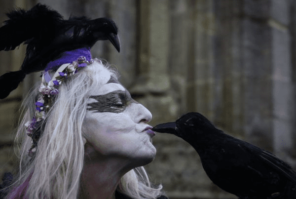 image | Order of Bards, Ovates & Druids image, Order of Bards, Ovates & Druids.