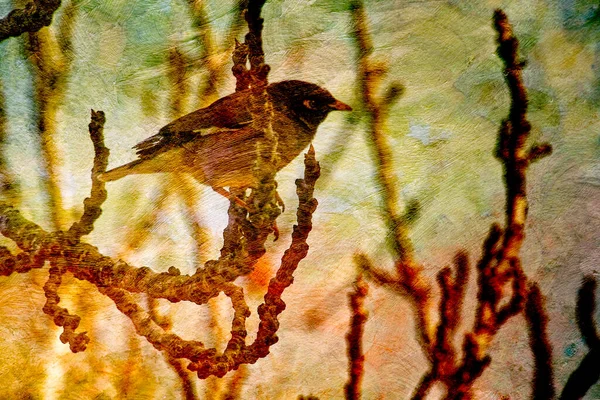 depositphotos bird song, Order of Bards, Ovates & Druids.
