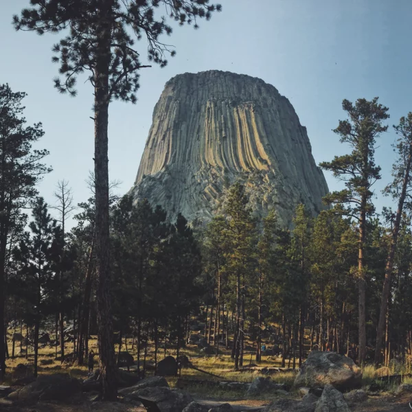 respectful recreation devils tower s, Order of Bards, Ovates & Druids.
